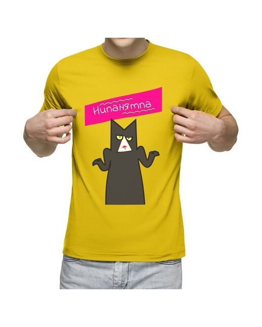 US Basic футболка Кот в непонятках XL меланж