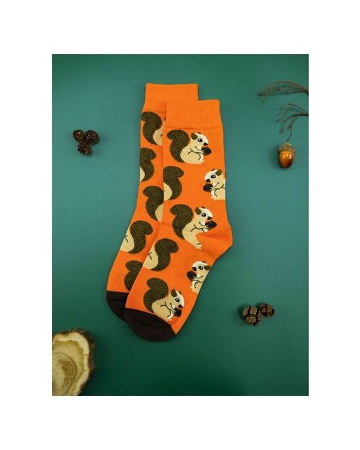 2Beman Носки носки унисекс оранжевые с белками р.37-43