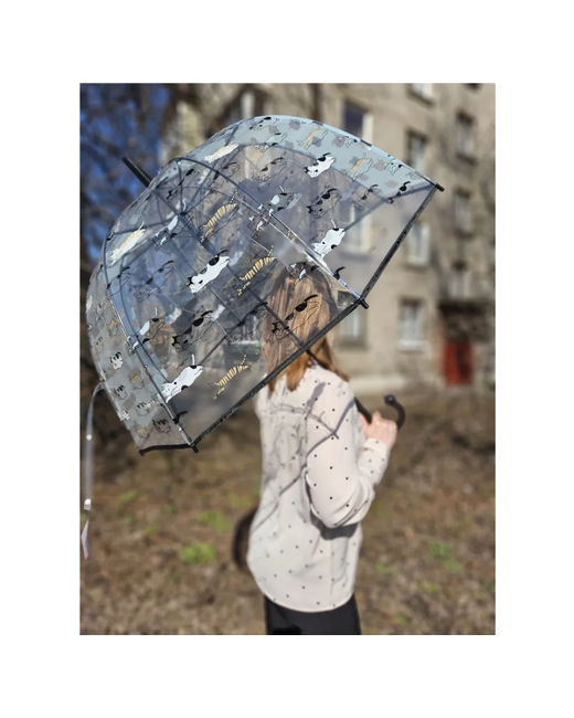Galaxy Зонт трость прозрачный Подростковый зонт от дождя полуавтомат складной арт. С-542 спящие кошки