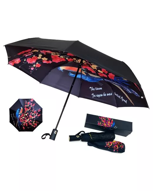 Arman Umbrella Зонт