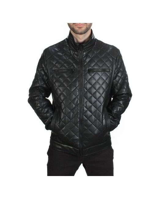 Не определен 198 BLACK Куртка из эко-кожи 50 гр. синтепон р. 70 на 64 российский