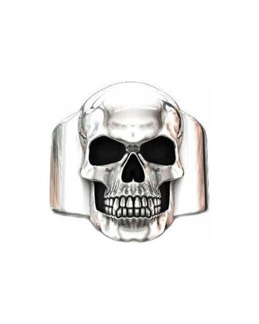 DG Jewelry стальной перстень Череп DG-R117-D