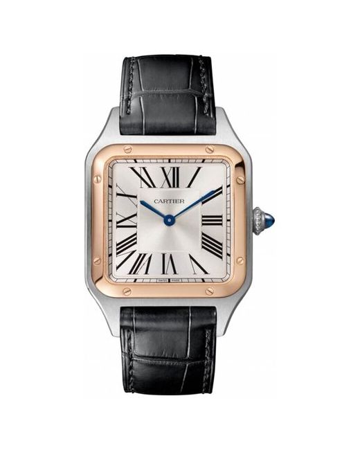 Cartier Наручные часы W2SA0011
