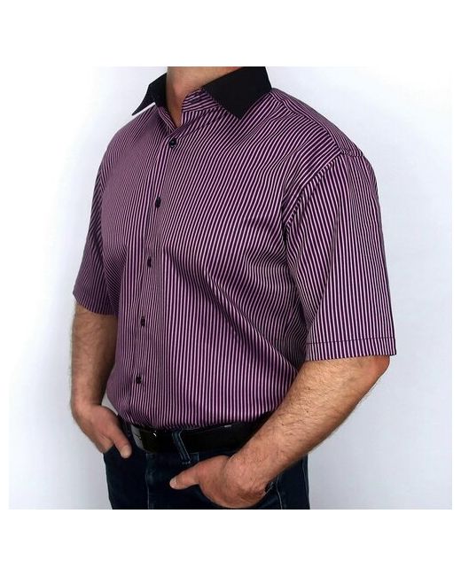 Basler Рубашка орион 971SW 50-52 размер до 106 см 102 40