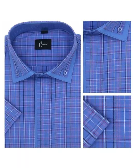 Carduchi Рубашка данс 690DW 46 размер до 100 см 90 39