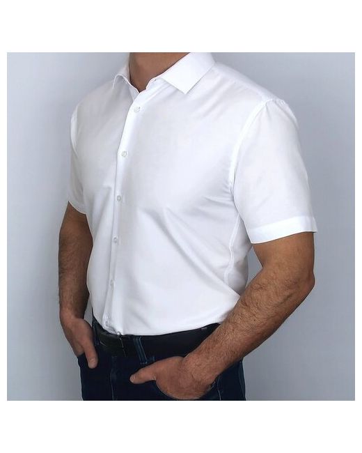 Palmary Leading Рубашка ВМ 509-1PR15347 44 размер до 94 см 90 S