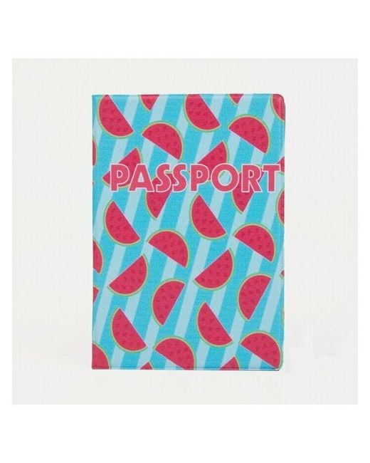 Mega-Trade Обложка для паспорта голубой