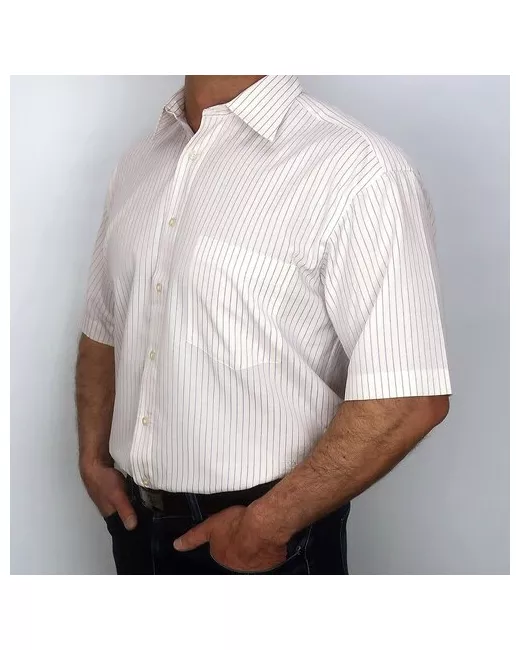 Rettex Рубашка бриз 107EW 50-52 размер до 116 см 114 40