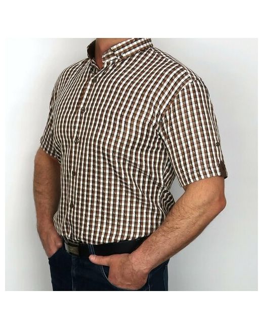 Carat Рубашка дельта 681EWVVV 46-48 размер до 104 см 98 M/39-40