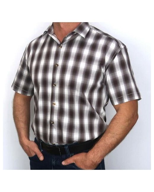 Westhero Рубашка В 778--TVRRR 46 размер до 100 см 94 M