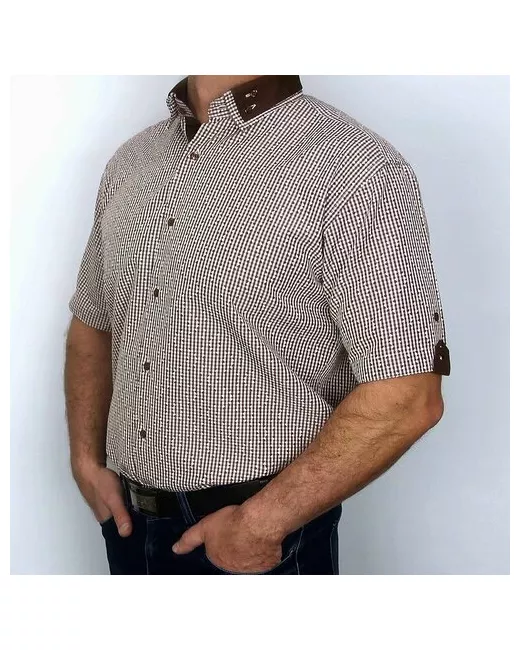Carat Рубашка эль 608-/-TZ 54-56 размер до 122 см 118 XL/43-44