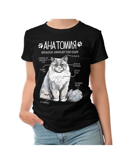 Roly футболка Британская кошка анатомия строение кота M темно-