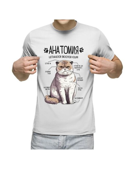 US Basic футболка Шотландский вислоухий кот анатомия строение кота 3XL