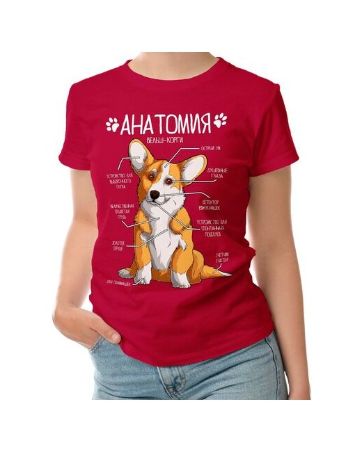 Roly футболка Анатомия корги строение собаки 2XL