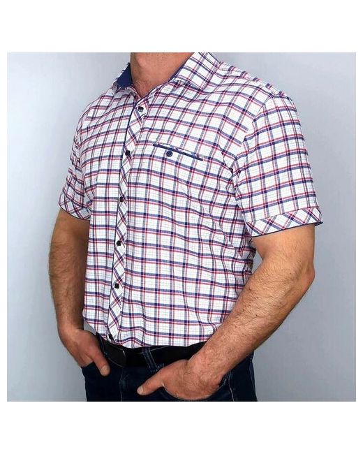 Palmary Leading Рубашка В 751-1QR1157F 46 размер до 100 см 94 S