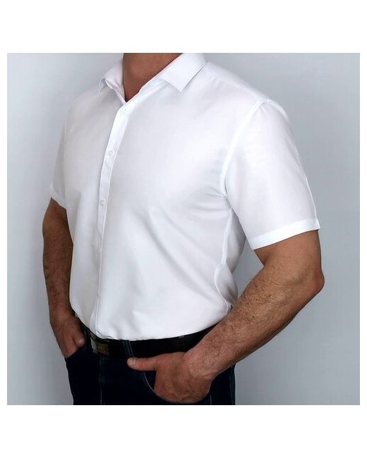 Westhero Рубашка ВМ 510-/-TT 52 размер до 116 см 112 3XL