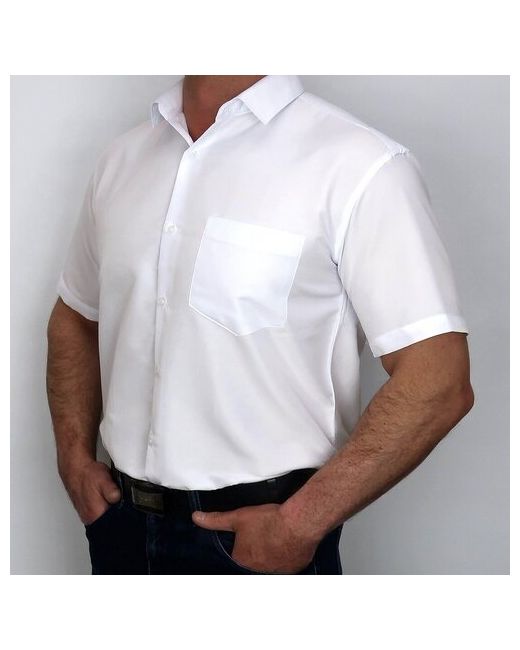 Westhero Рубашка АМ 503-1ZO1133455667 48 размер до 110 см M/40-41