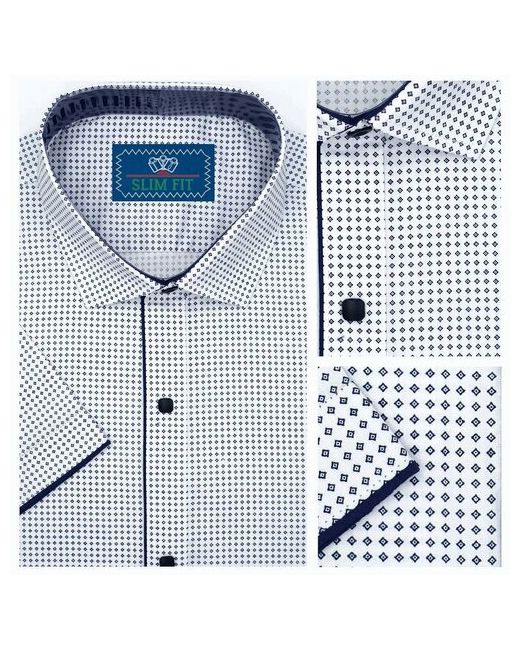 Palmary Leading Рубашка В 816-1RO3457 46 размер до 100 см 92 S
