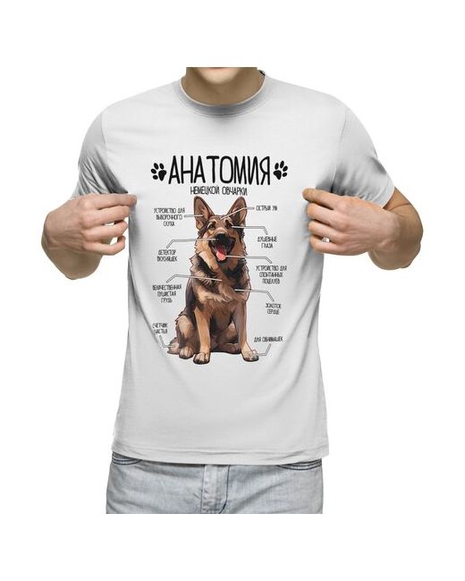 US Basic футболка Анатомия немецкой овчарки строение собаки 3XL