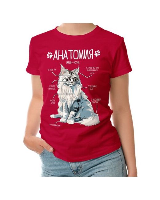 Roly футболка Мейн-кун анатомия строение кота 2XL темно-