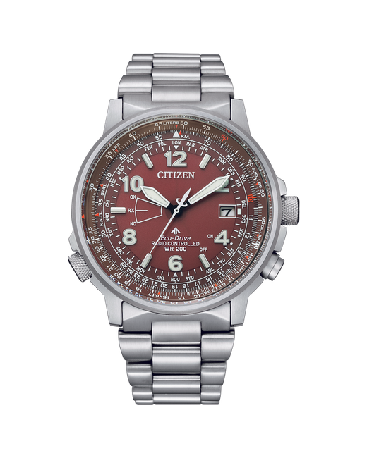 Citizen Наручные часы CB0241-85X кварцевые