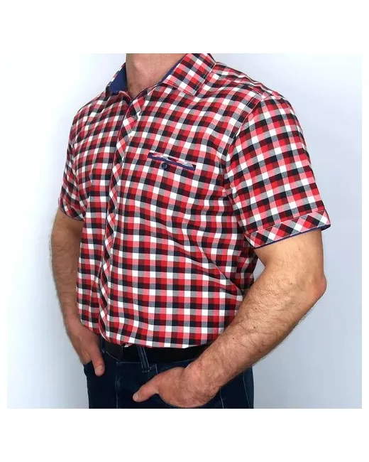 Palmary Leading Рубашка нарядный стиль прилегающий силуэт короткий рукав размер L бордовый