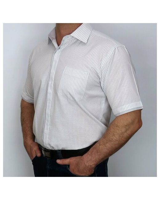 Sorrento Рубашка нарядный стиль прилегающий силуэт короткий рукав размер 2XL