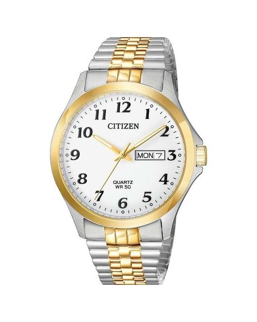Citizen Наручные часы Quartz BF5004-93A