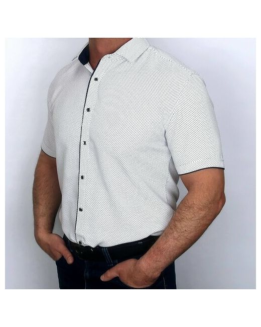 Moutain Power Рубашка нарядный стиль прилегающий силуэт короткий рукав без карманов размер M