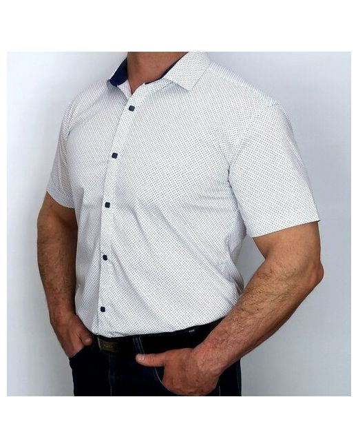 Hugo Bitti Рубашка нарядный стиль прилегающий силуэт классический воротник короткий рукав без карманов размер M