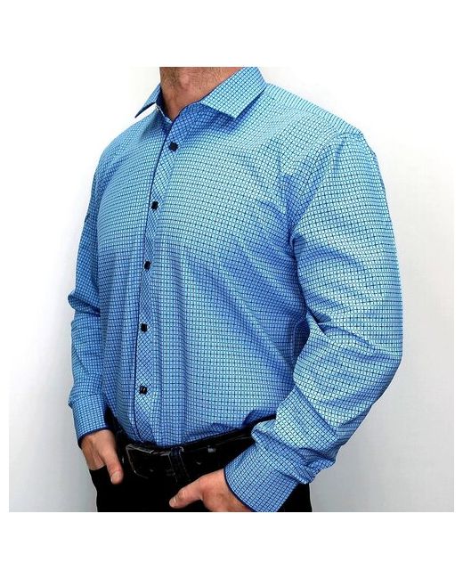 Palmary Leading Рубашка нарядный стиль прилегающий силуэт длинный рукав размер 3XL синий