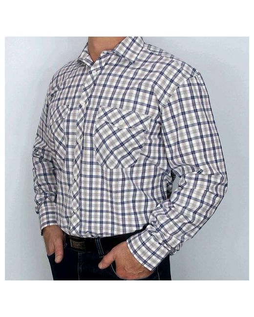 Palmary Leading Рубашка размер 3XL мультиколор
