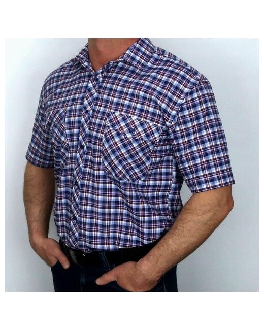 Palmary Leading Рубашка размер 8XL бордовый
