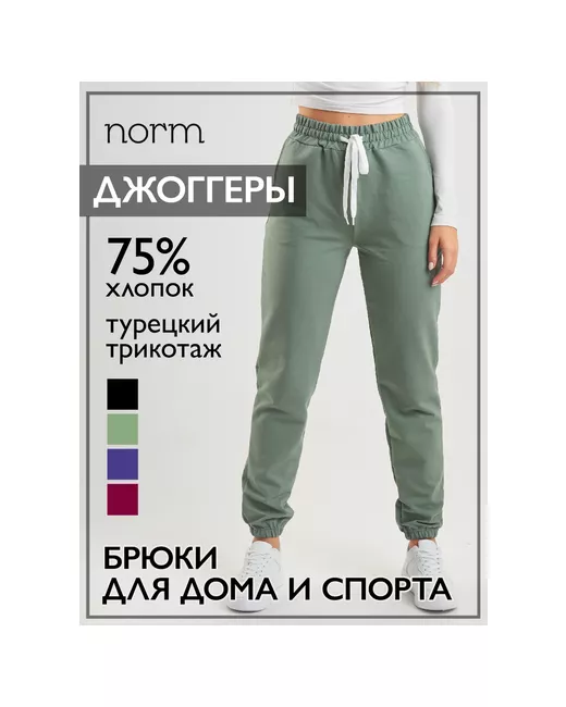 Norm Брюки карманы размер 50-52 зеленый