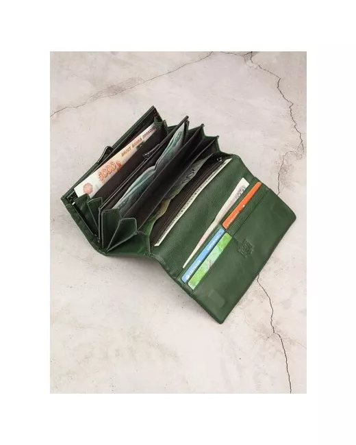 Capsa Кошелек на магните молнии магнит 5 отделений для банкнот отделения карт и монет потайной карман подарочная упаковка