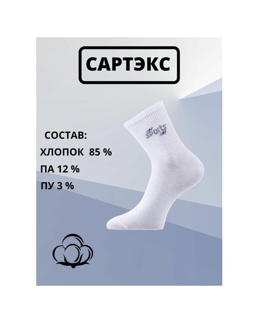 Сартэкс носки 6 пар классические износостойкие размер 29