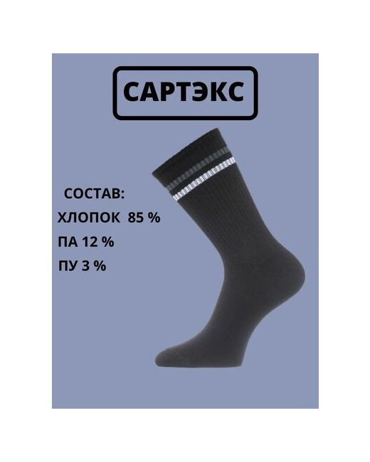 Сартэкс носки 3 пары высокие износостойкие размер 29