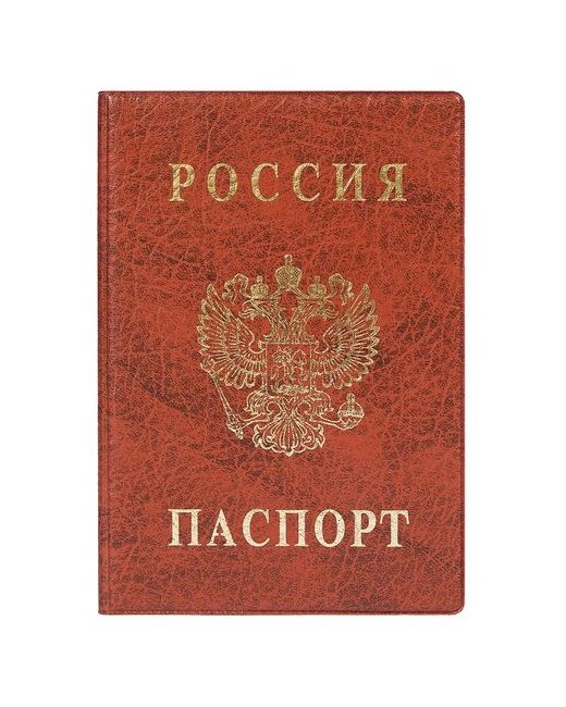 DPSkanc Для паспорта мультиколор