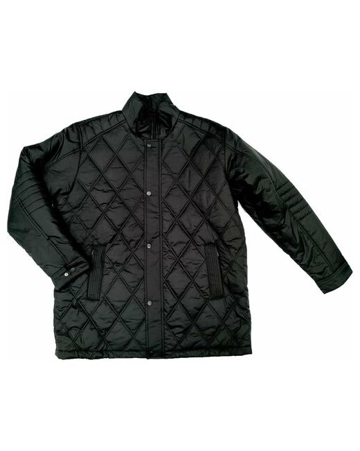 Olser Куртка демисезон/зима силуэт прямой размер 6XL62