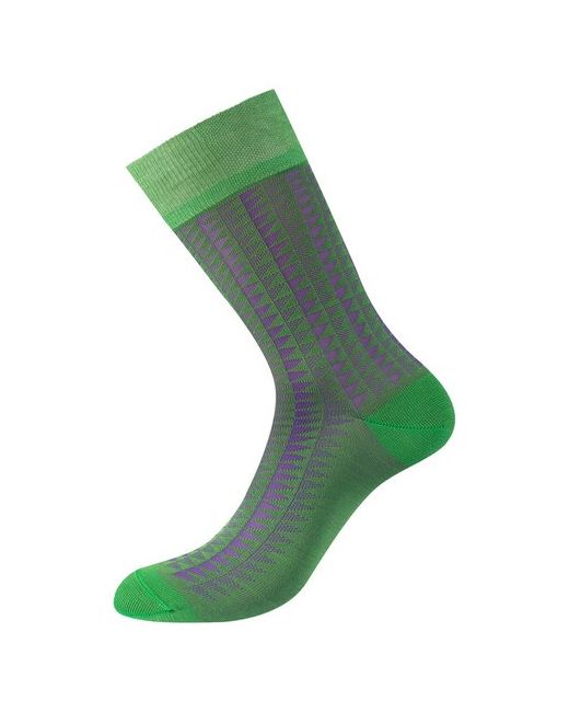 Phillipe Matignon носки 1 пара классические размер 45-47 зеленый фиолетовый