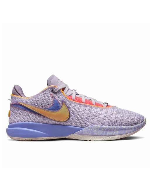 Nike Кроссовки DJ5422-500/DJ5423-500/10 баскетбольные размер 43