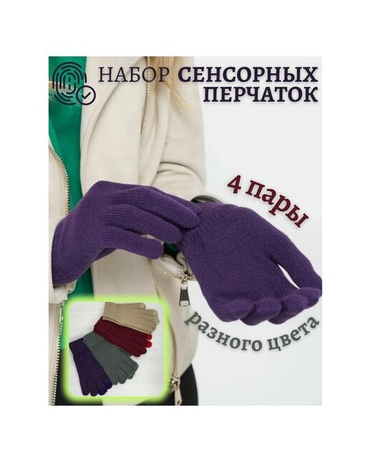 People Gift Перчатки демисезон/зима сенсорные утепленные размер универсальный мультиколор