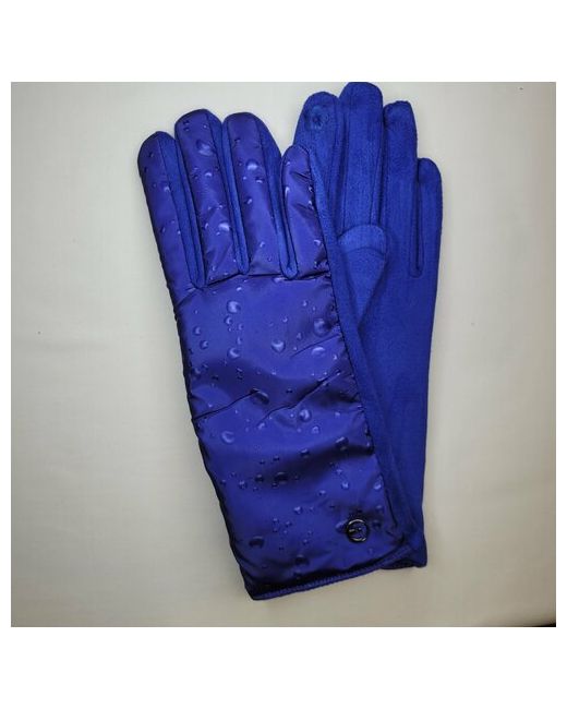 Pittardss Перчатки демисезон/зима влагоотводящие утепленные сенсорные размер без размера