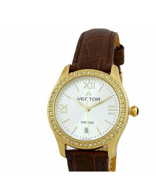 Vector Наручные часы Часы VC9-0055938Q сталь