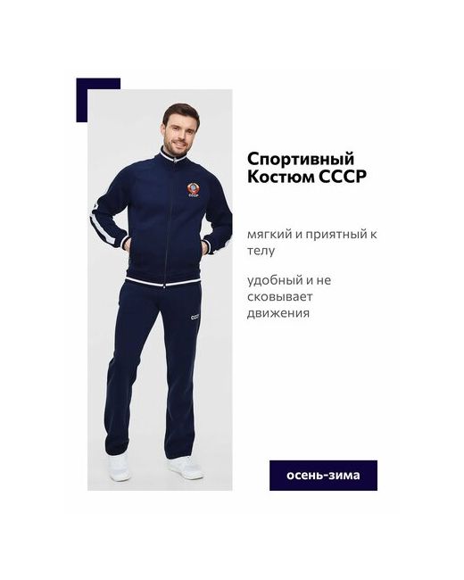Addict Костюм олимпийка и брюки силуэт прямой карманы подкладка утепленный размер 54