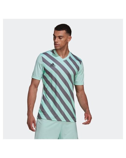 Adidas Футбольная футболка Entrada 22 силуэт полуприлегающий влагоотводящий материал размер s зеленый