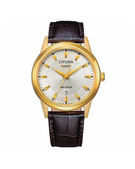 Citizen Наручные часы Часы AW0102-13A серебряный