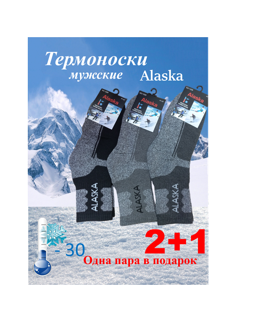 Alaska Термоноски 3 пары размер 47 черный
