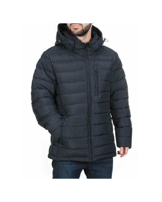 Не определен куртка демисезон/зима силуэт прямой карманы манжеты грязеотталкивающая ветрозащитная капюшон размер 52