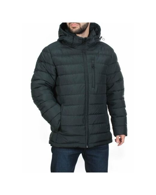 Не определен куртка демисезон/зима силуэт прямой карманы манжеты грязеотталкивающая ветрозащитная капюшон размер 46